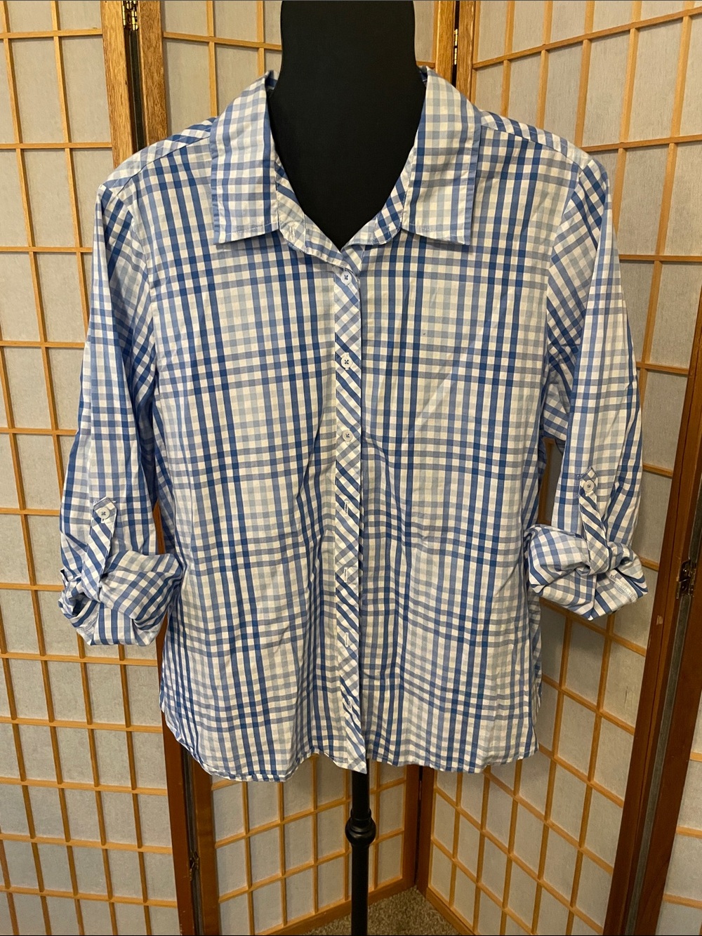 Appleseed's Blue and White Gingham Cottagecore Buttoned Long Sleeved Blouse